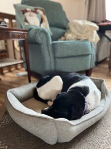 Why Servant Leaders Need to Rest